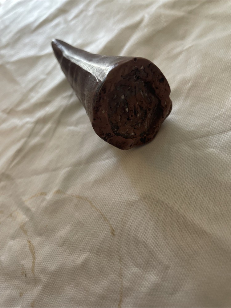 Dinosaur Tooth 3 Inches Long Real? Replica?