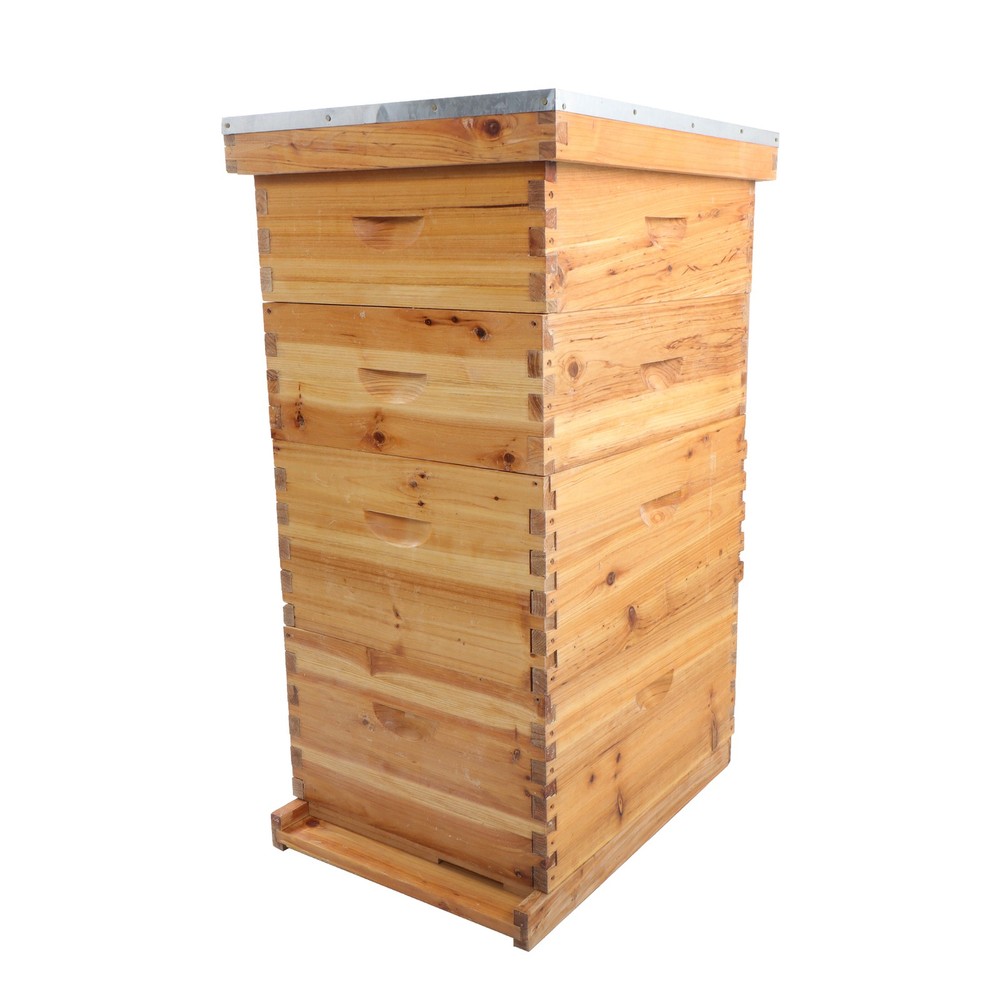 10 Frame 4 Layer Bee Hive Beeswax Coated Includes Beehive Frames and Foundations