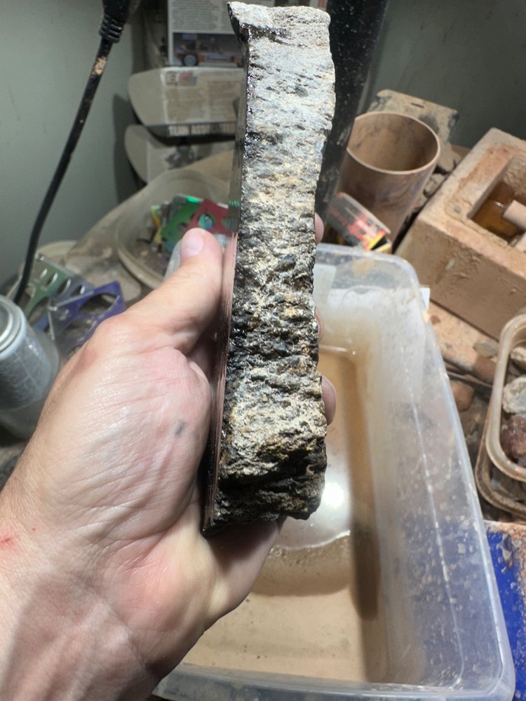 Dinosaur bone rough **hxtled partial vertebrae end cut.