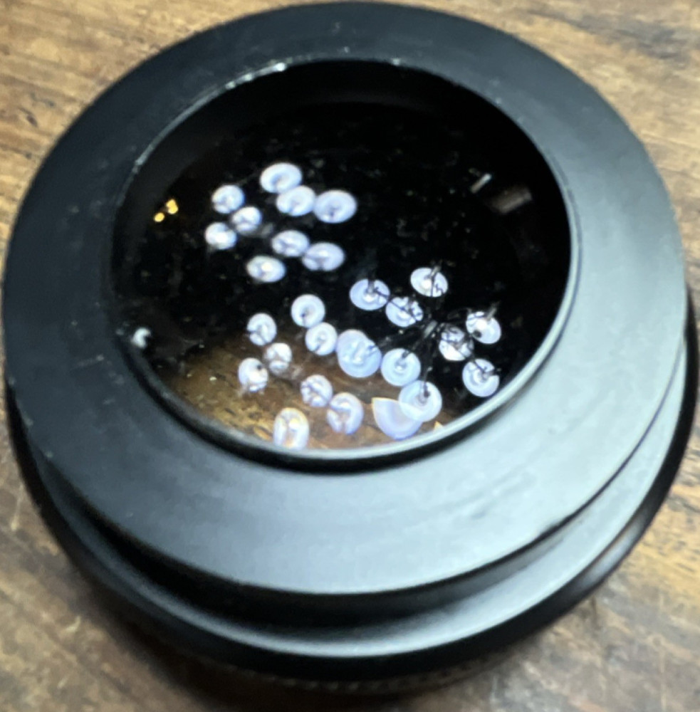 Xacti 0.7x Wide Angle Lens with Macro