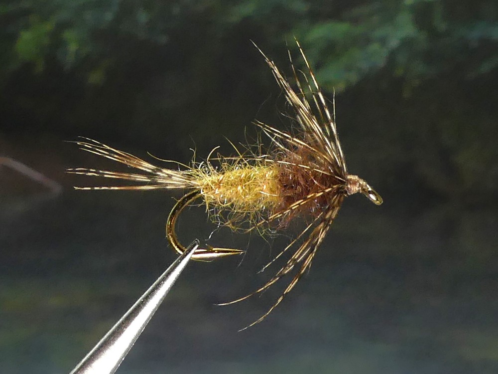 6 Flies -Hendrickson Contrast Nymph