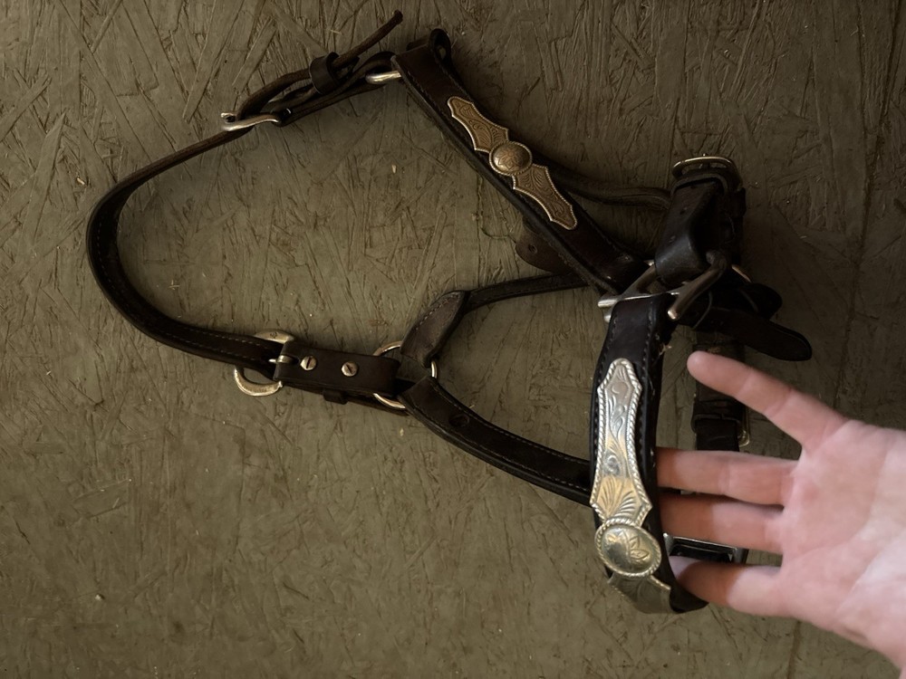 Western Show Halter