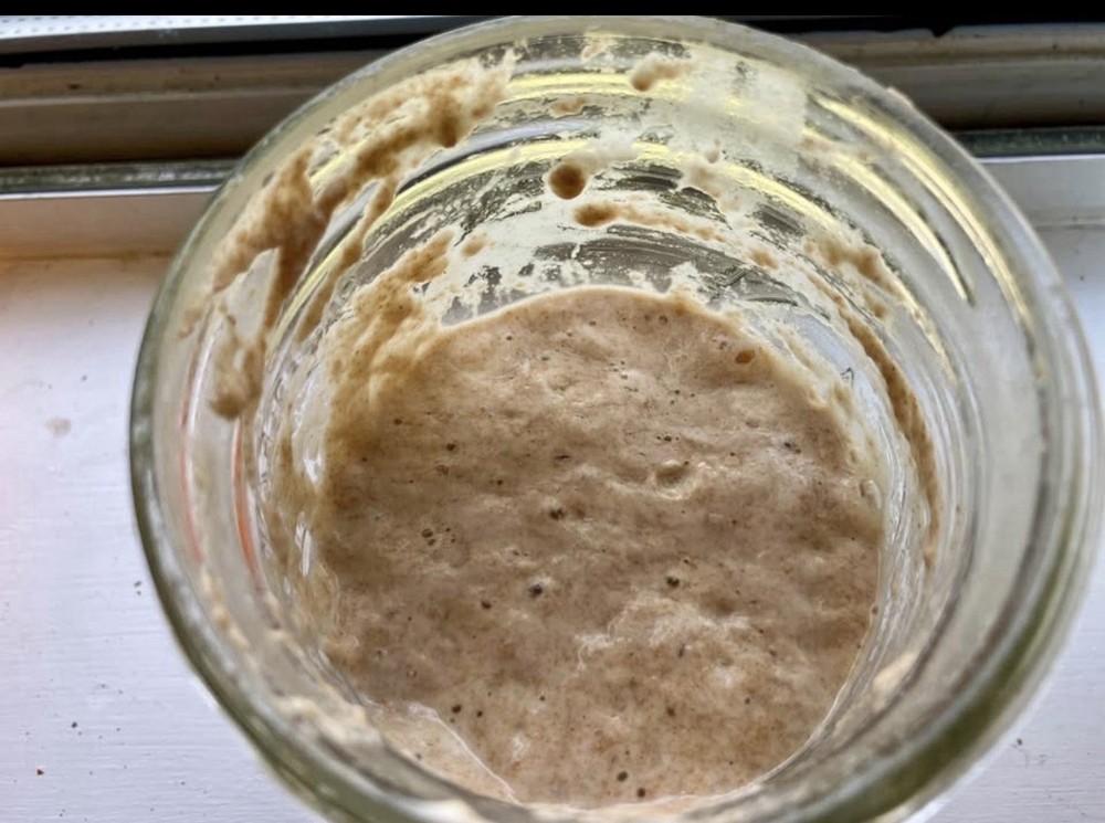 Organic Dehydrated Sourdough Starter
