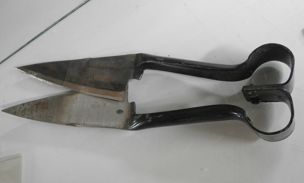Vintage Old-Fashioned Grass Shears supper sharp 12in long with extra scissors