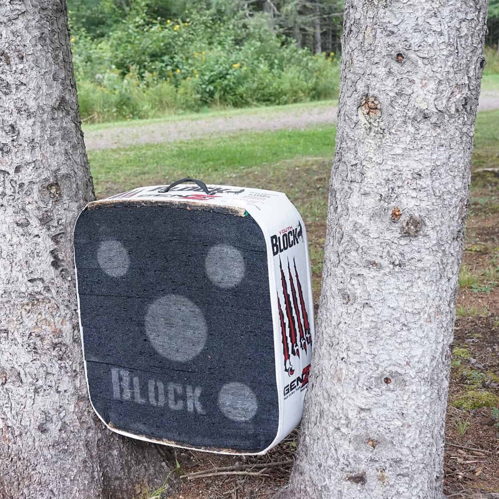 BLOCK GenZ Youth Archery Target 16" x 18" x 8", For Bows up to 40 lb Draw Weight