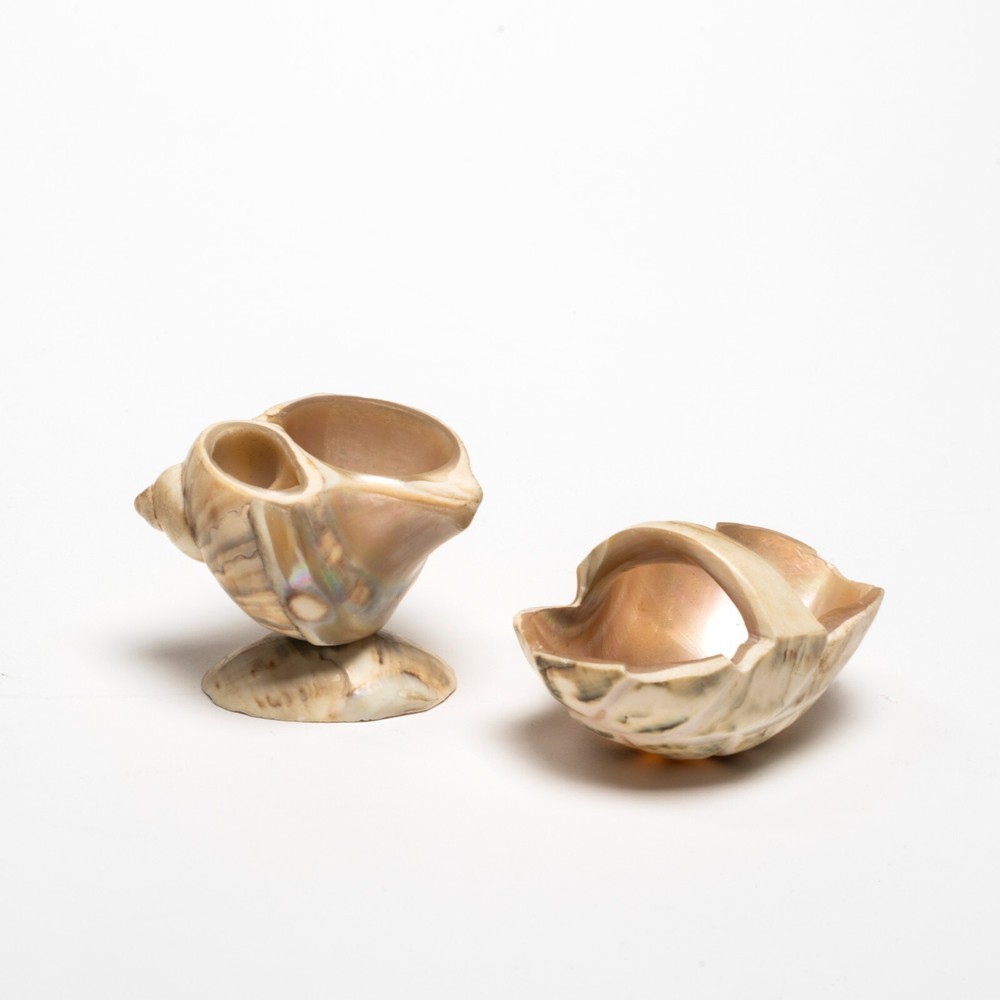 Two Antique Carved Shell Salts