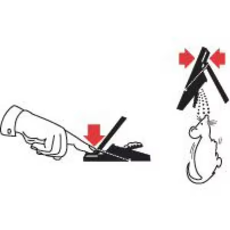 Intruder the Better Mousetrap (2-Pack)