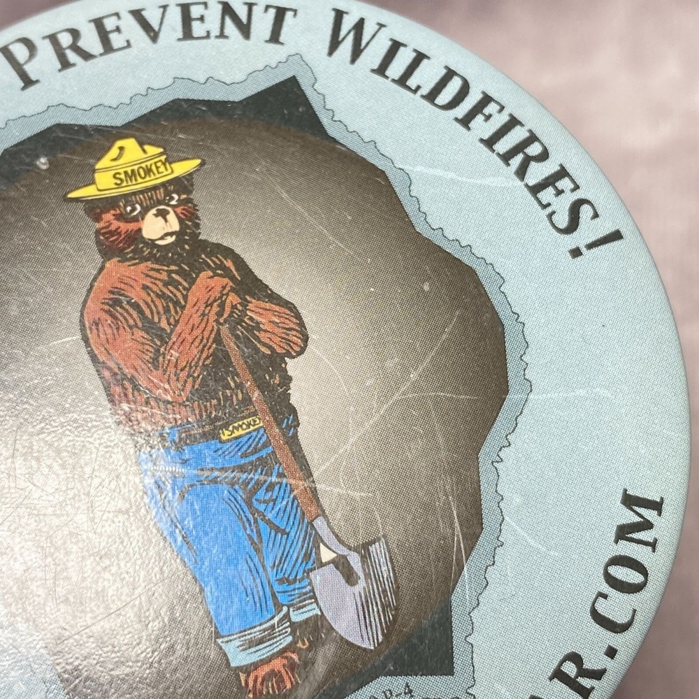 Vintage Smokey Bear Help Prevent Wildfires Button Pin