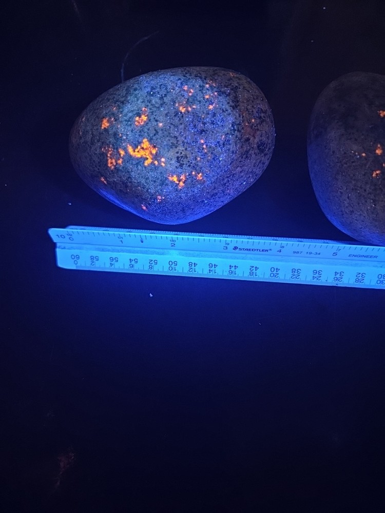 Genuine Raw Yooperlite Stones (Y4)