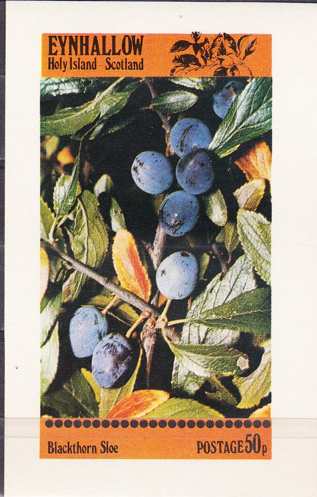 W EYNHALLOW 004A FRUITS