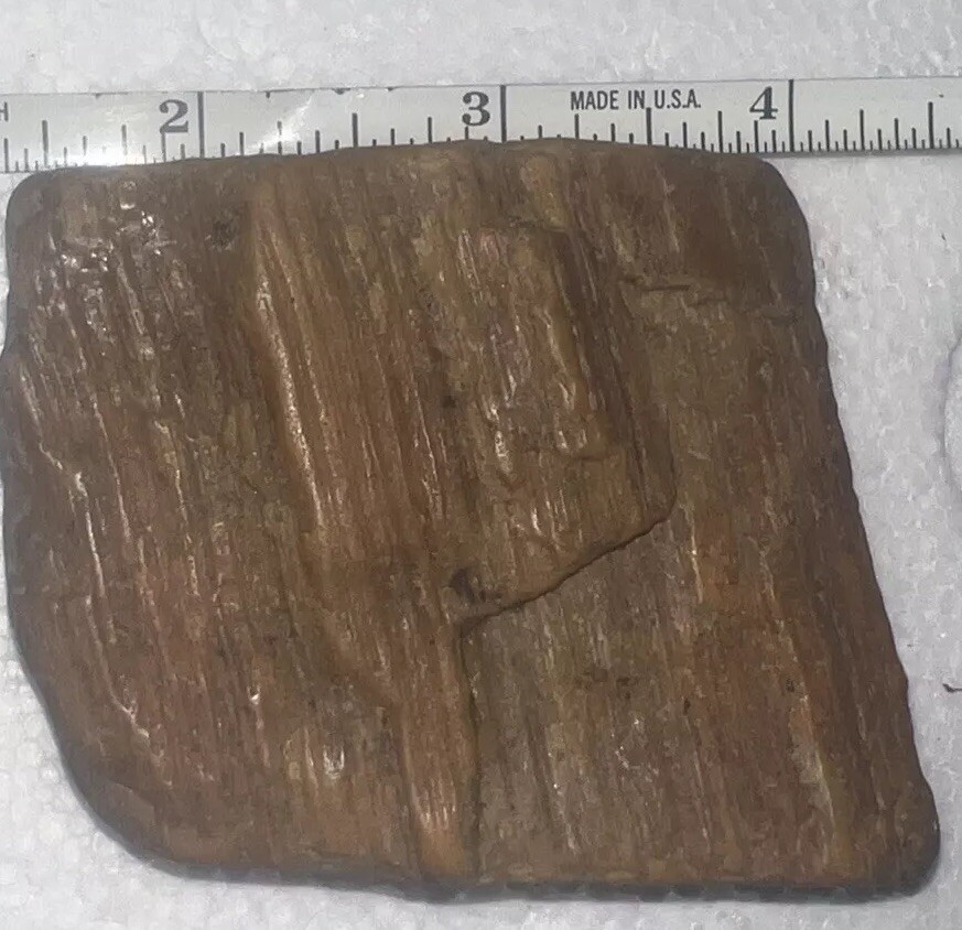 Petrified Wood 4.25 oz.-#040