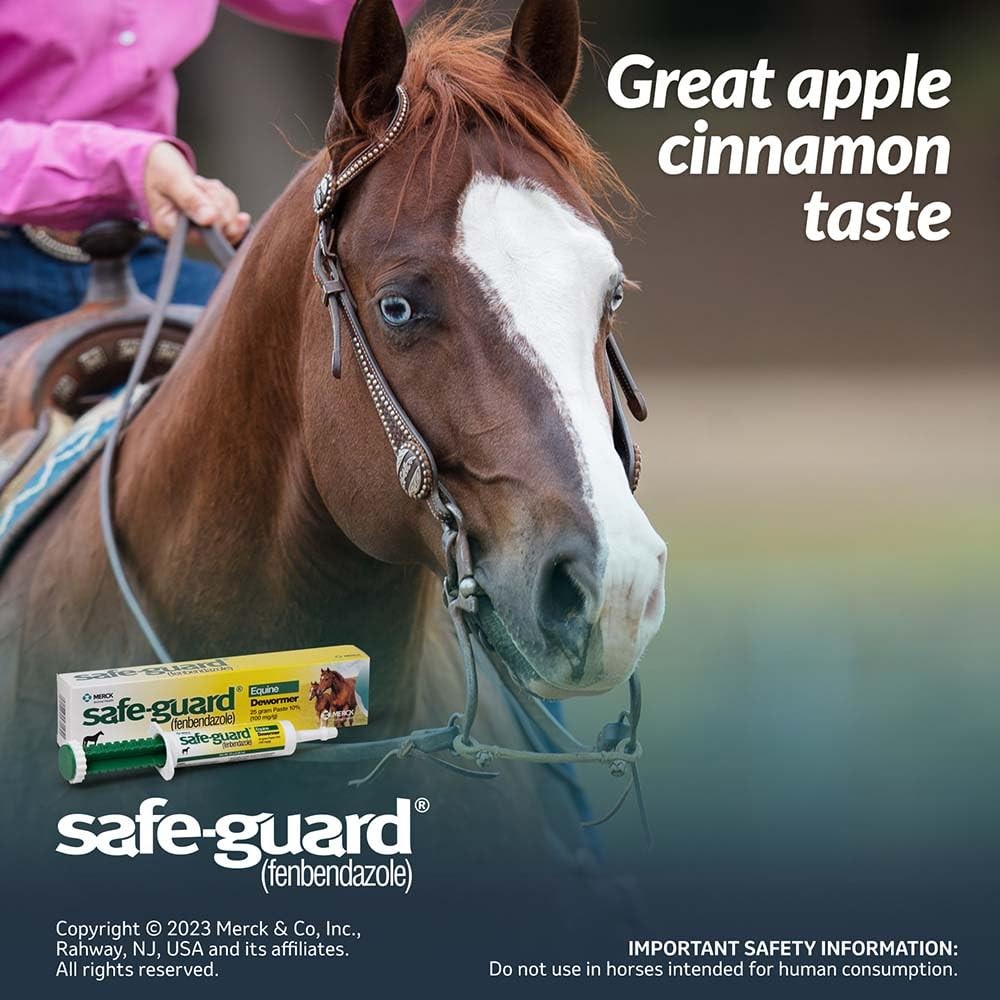 Safe Guard 25 Gram Paste Equine Dewormer