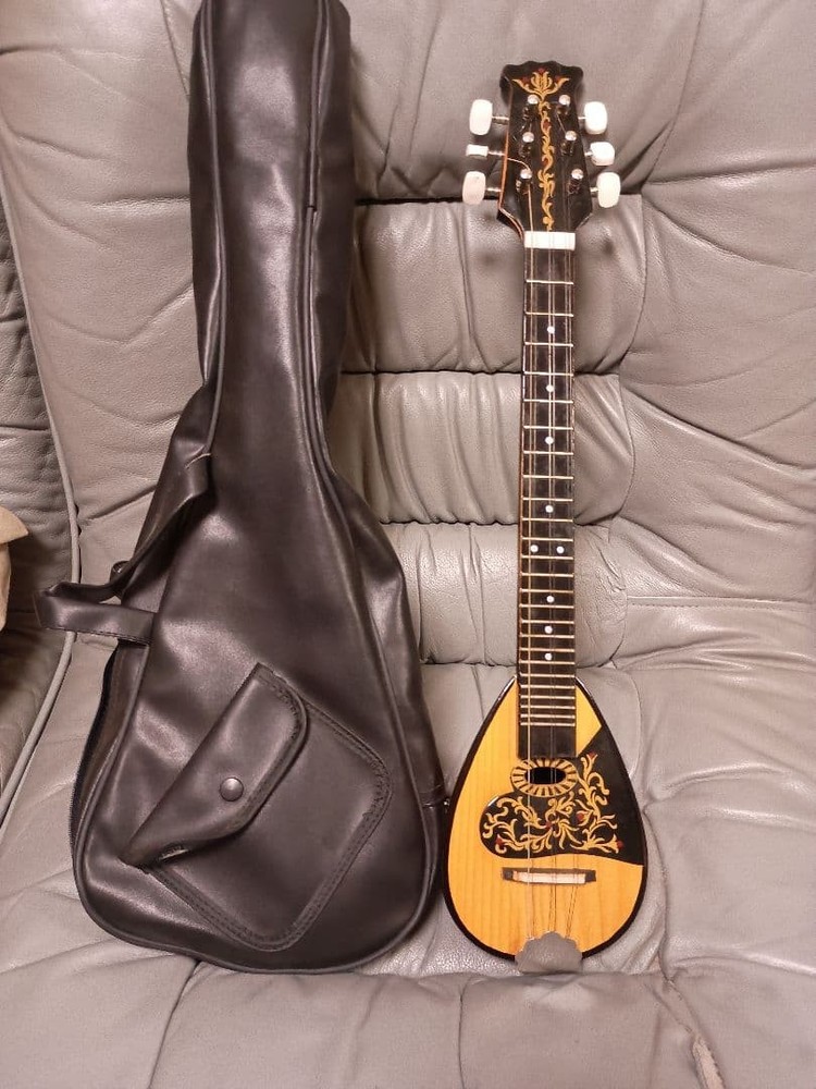 Beautiful item Rare item Flower pattern Mandolin with case