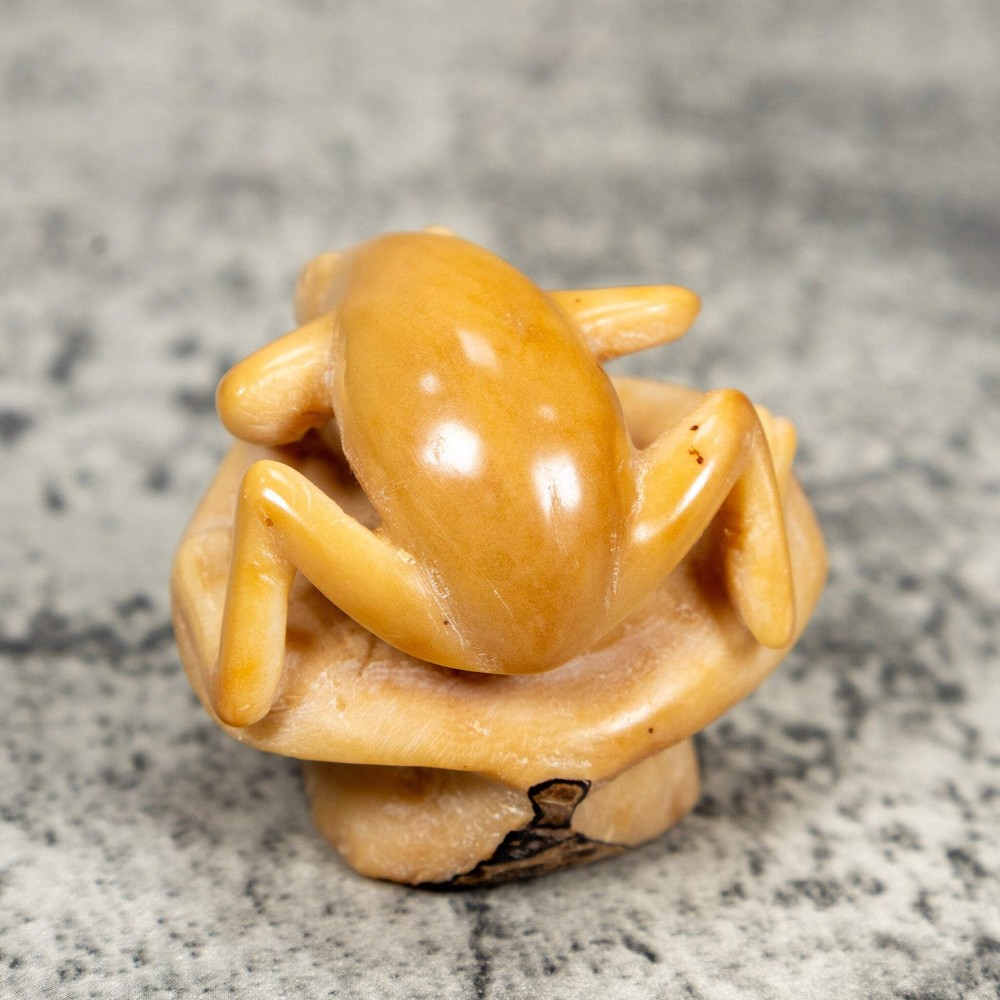 Natural White Frog Tagua Carving