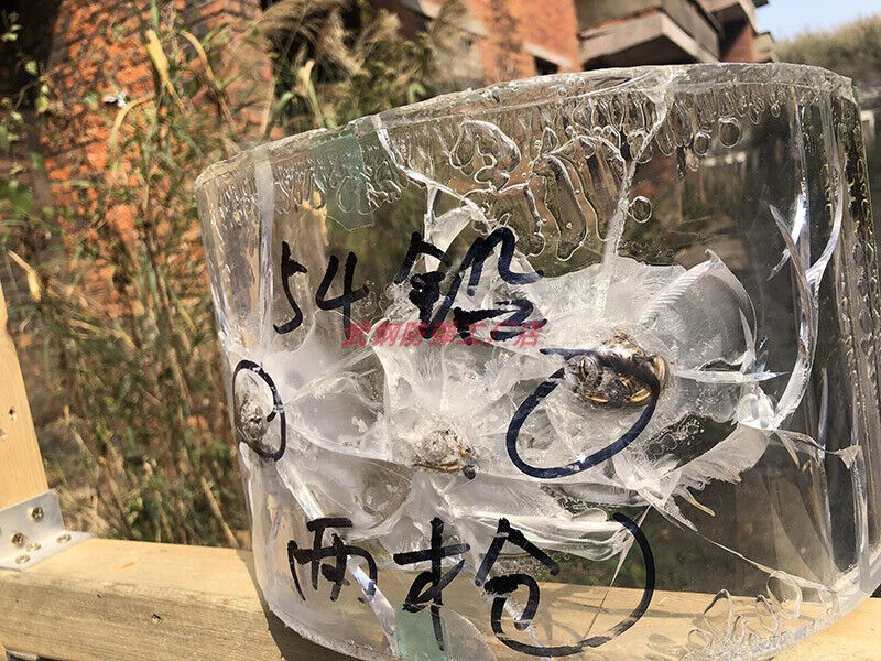 Fast MICH Helmet Bulletproof Face Shield NIJ IIIA Ballistic Mask Visor US Stock