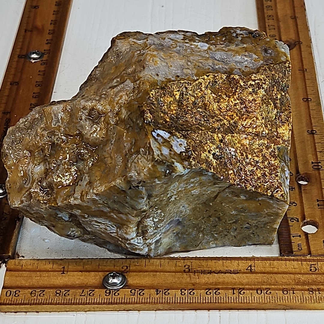 Royal blue agate rough. Spectacular blue colors, sharp banding 2LBS 4.7oz.