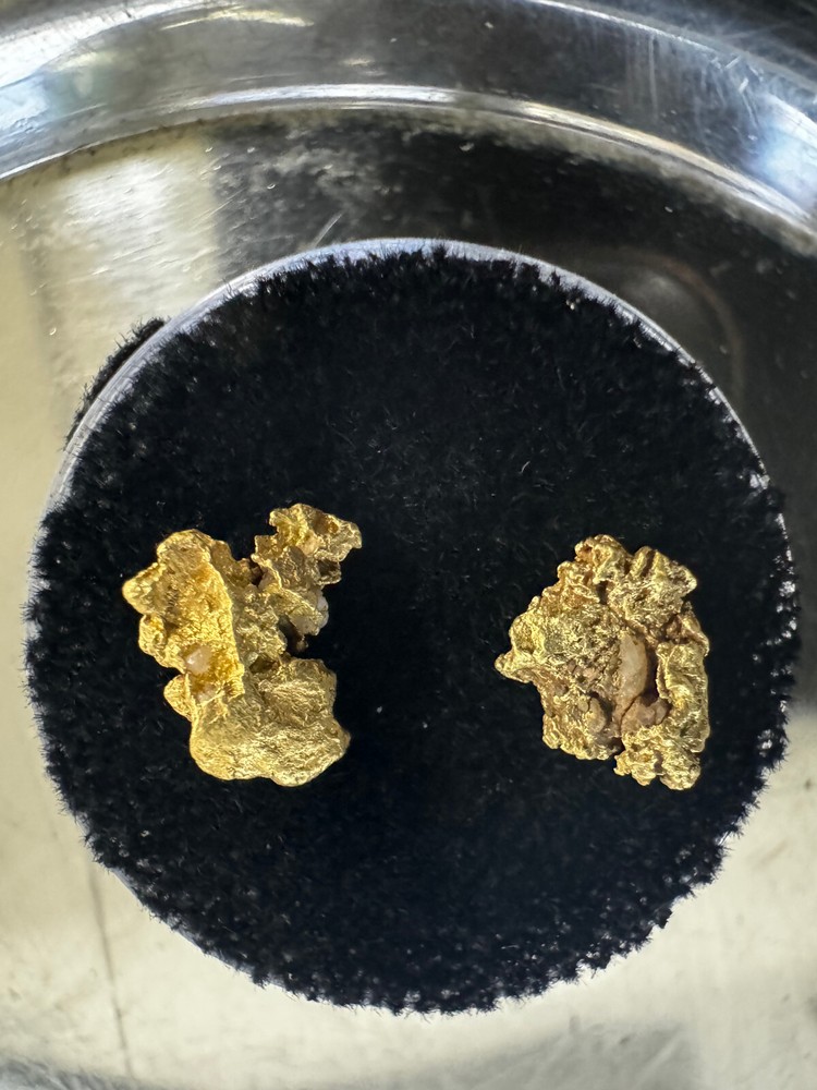 .929 Gram Gold Nugget