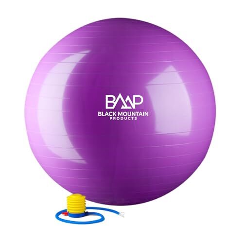 2000lb Static Capacity Stability Ball with Pump for Exercise Yoga & Therapy