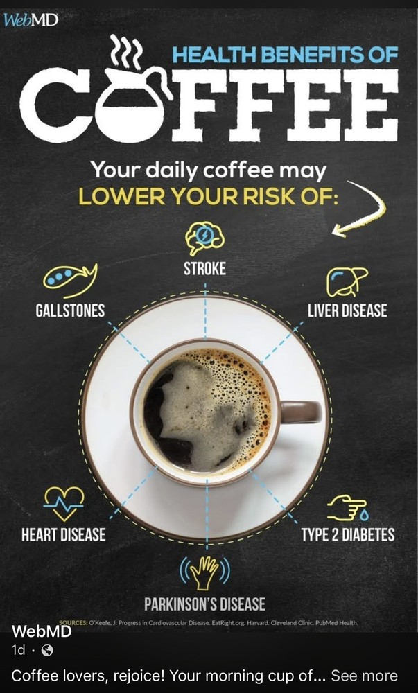 Premium Arabica Drip Coffee