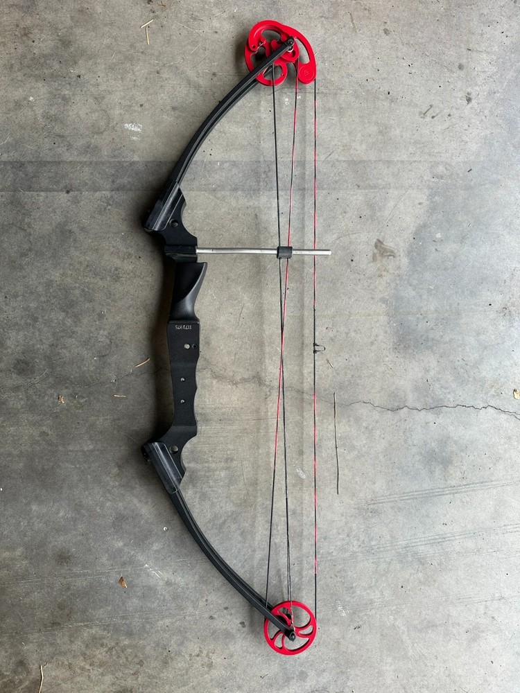 Matthews Genesis bow black riser, red wheels has D Loop installed