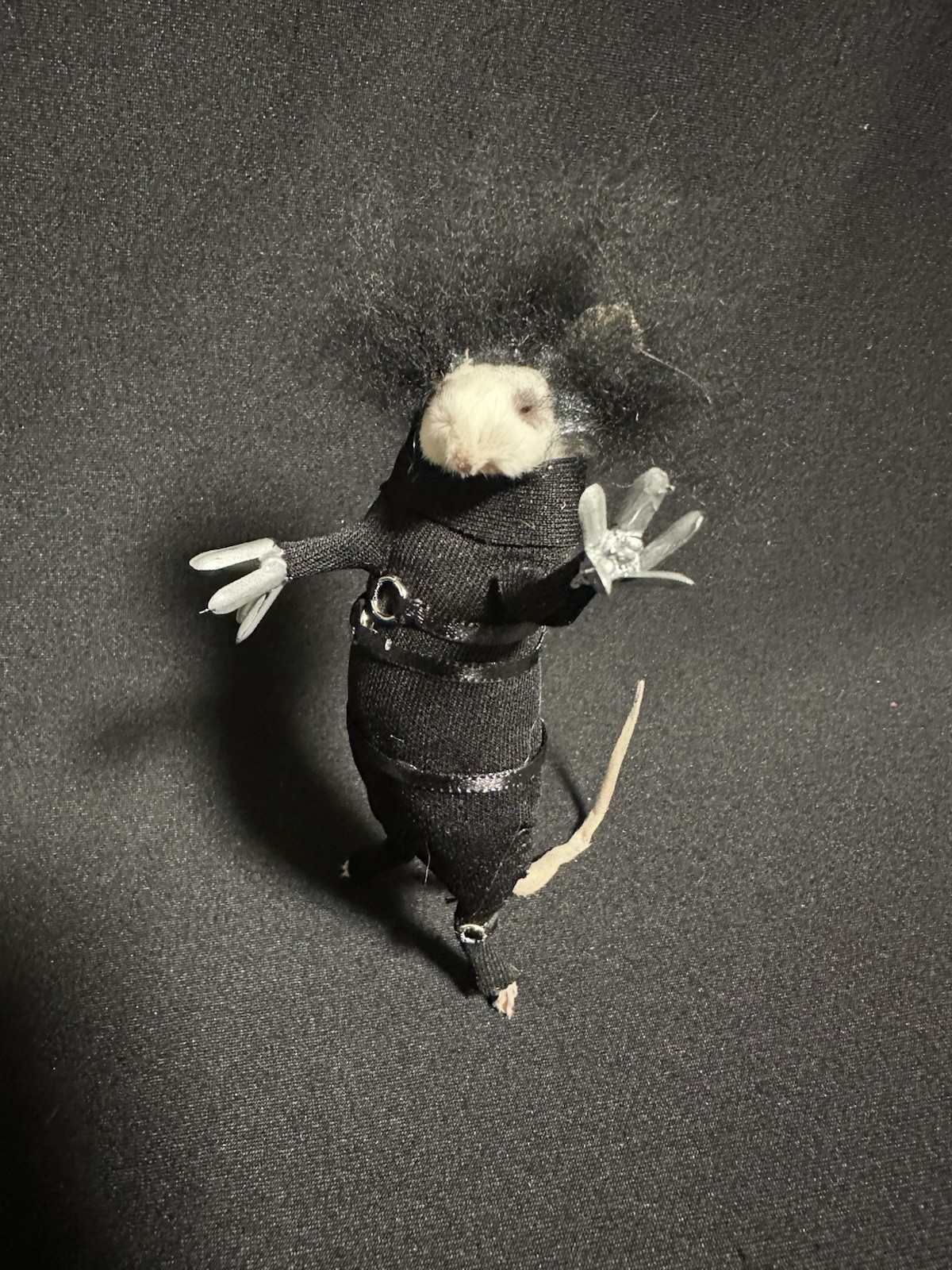 Taxidermy Mouse Edward Scissorhands Mouse Oddities Curiosities Taxidermy Art
