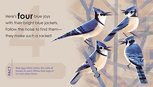 Birding for Babies: Backyard Birds: A Numbers Book