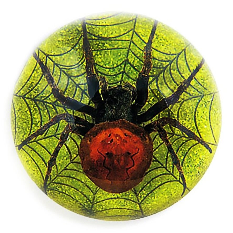 Spider on web dome resin display