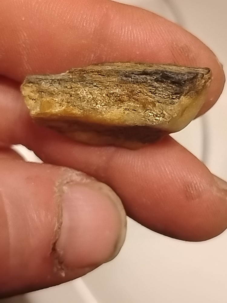 Native Gold In Quartz Vein
