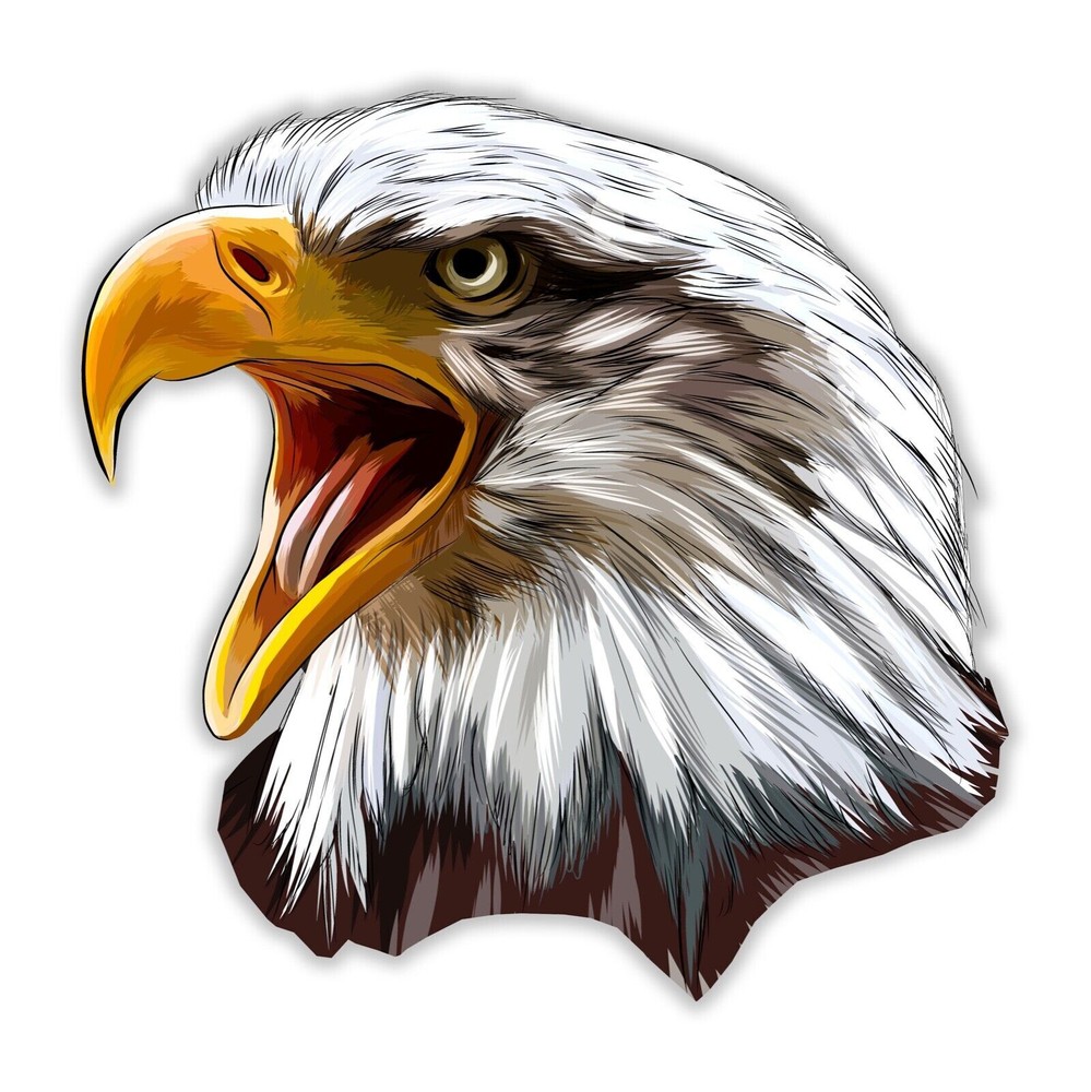 American Eagle Head Sticker Decal
