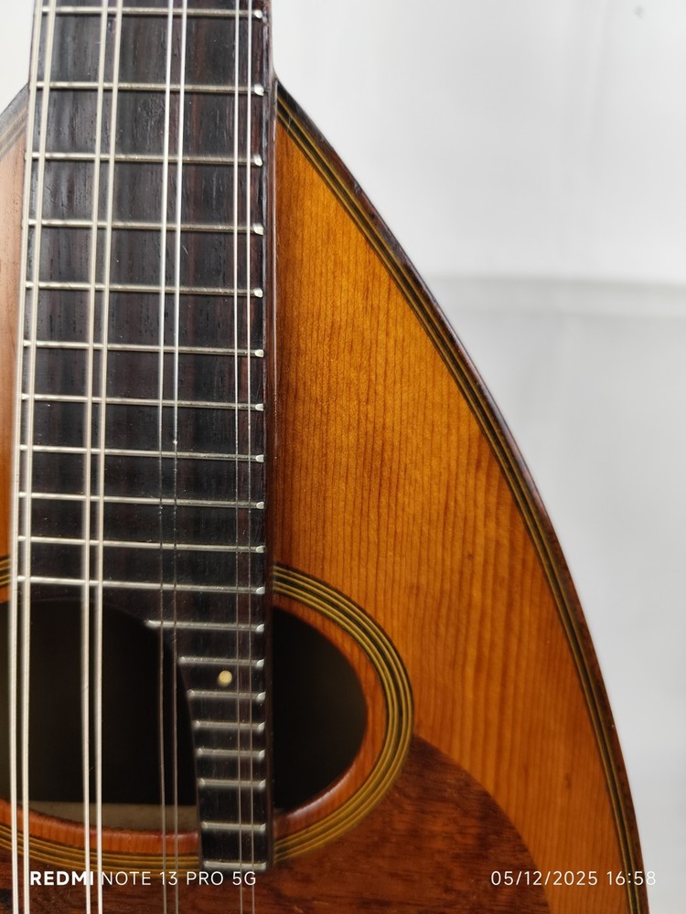Suzuki Model M-30 4/4 Mandolin 曼陀林 만돌린マンドリン