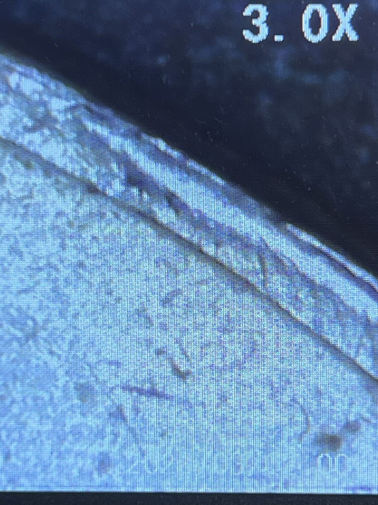 1980-P Kennedy Half Dollar Filled "P", Multi Errors.