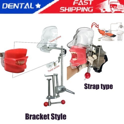 2 type US Dental Simulator Mannequin Head Teeth Model Bench Mounted for practice