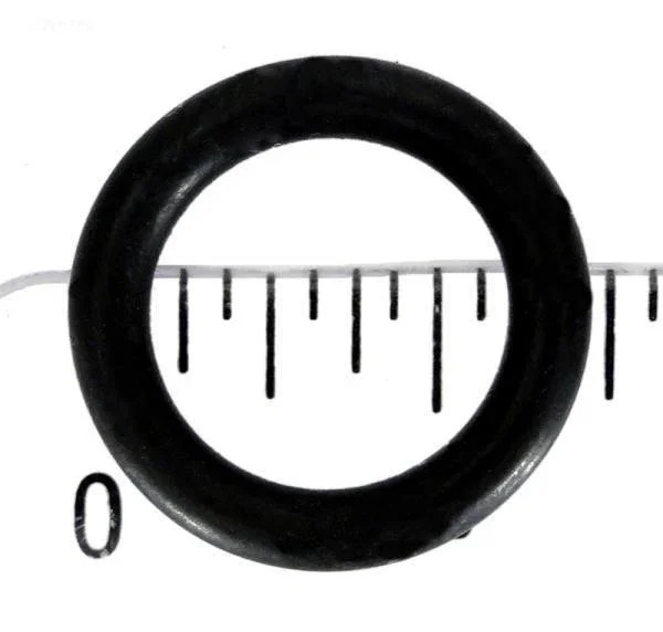 Gasket, Cap