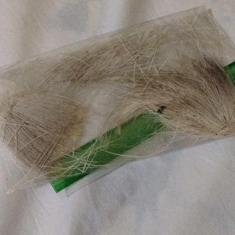 roadkill deer hair picked myself