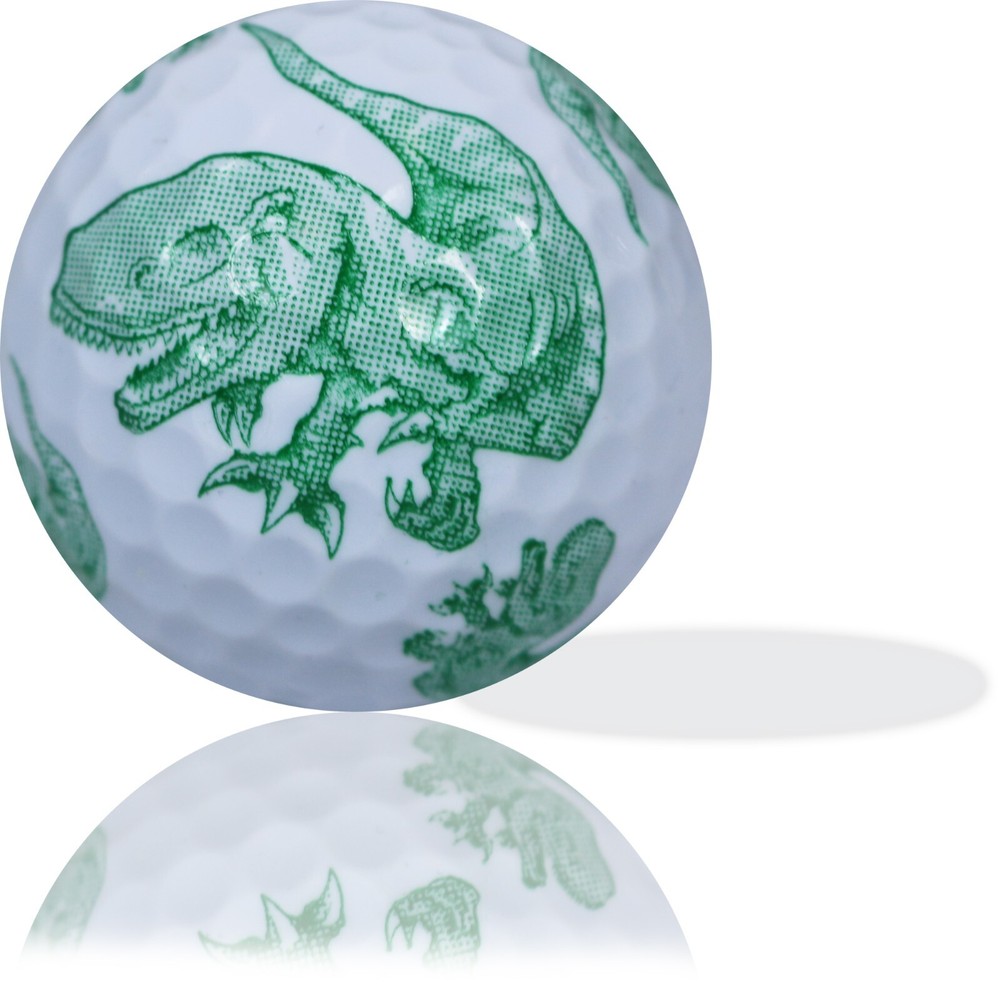 Green Dinosaur Full wrap 12 Pack - Great Gift Idea