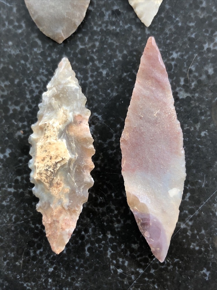 Very Rare Thin Finest Western Sahara 4 Neolithic Translucent Points Pristine A+