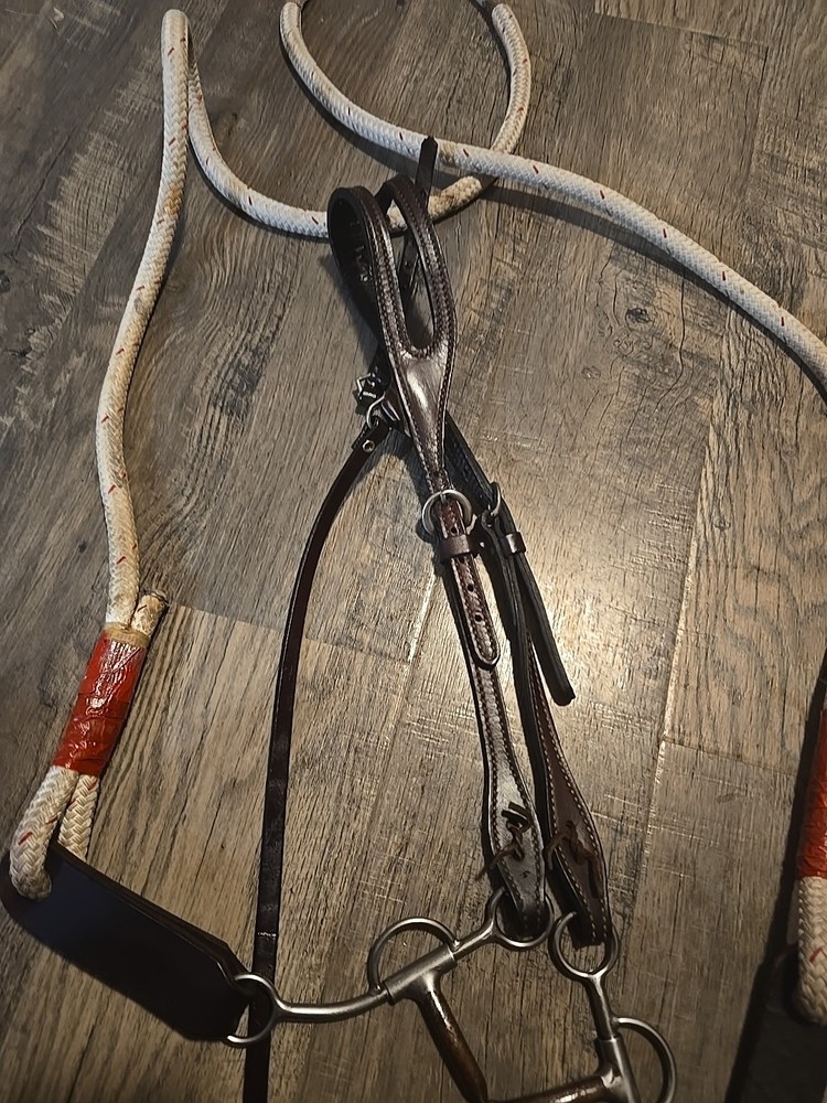 western headstall