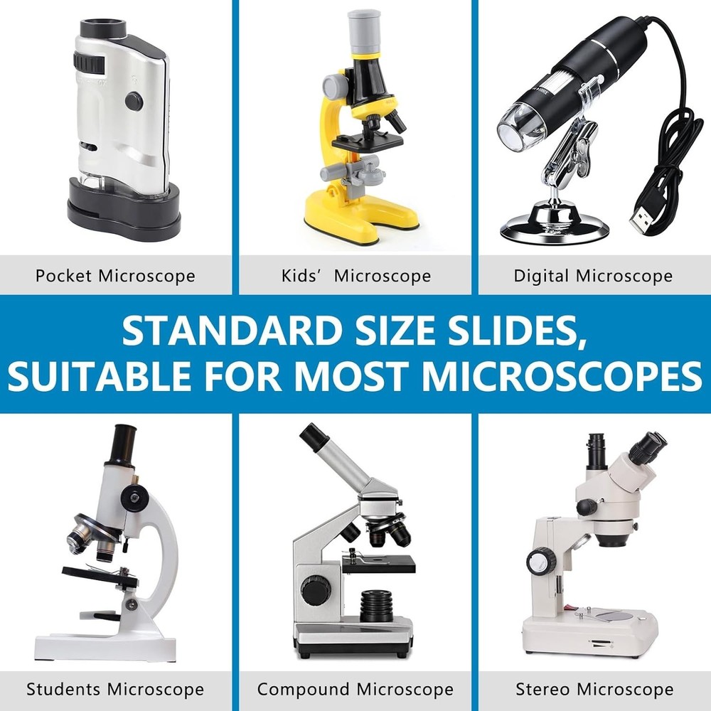 60 Lab-Grade Microscope Slides for Kids - STEM Kit with Biological Specimens