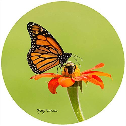 Andrea's Silicone - 8" Non-Slip Trivet - Monarch & Bee