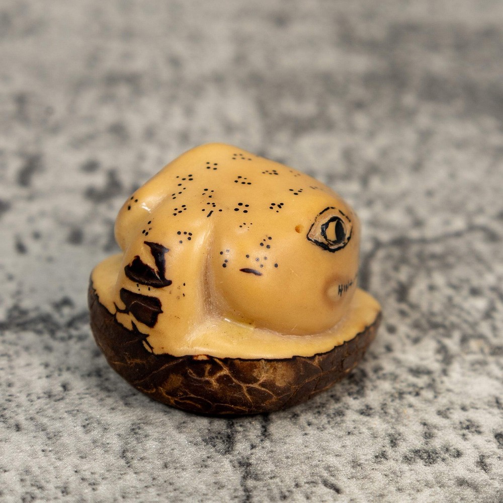 Natural White Snake Head Tagua Carving