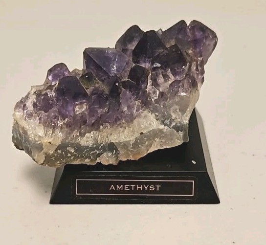 Precious Rock Collection With Display Case- Includes 16