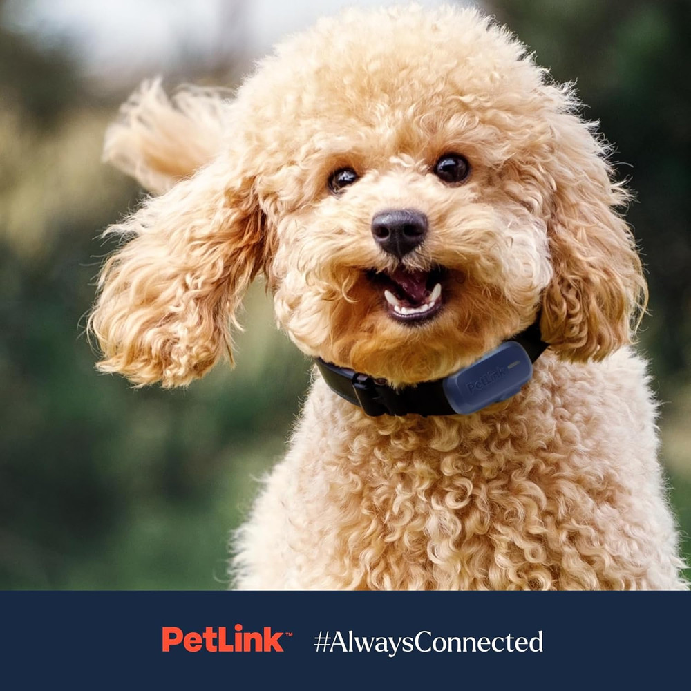 GPS Dog Tracker - Real-Time Pet Tracker Collar - Waterproof Dog GPS Tracker with