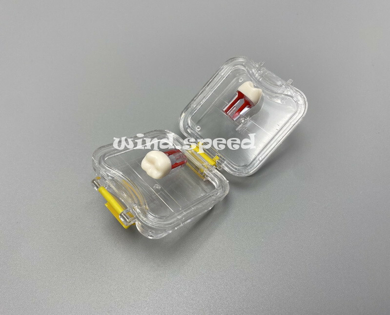 1x Dental Denture Protector Storage Box Retainer False Teeth Case Container Film