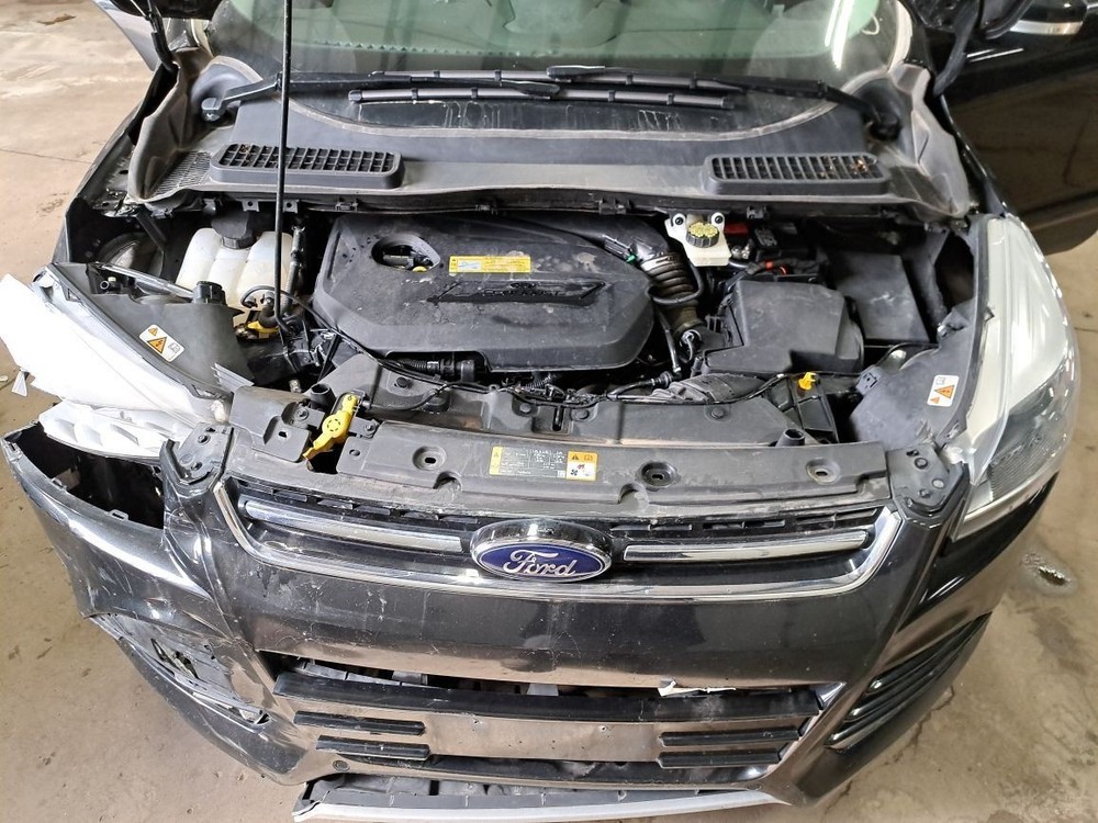 2014 Escape Jack Sku#4255099