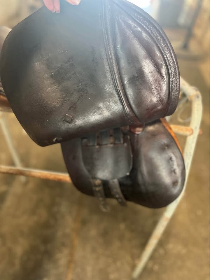 16" Beval Limited CC Saddle