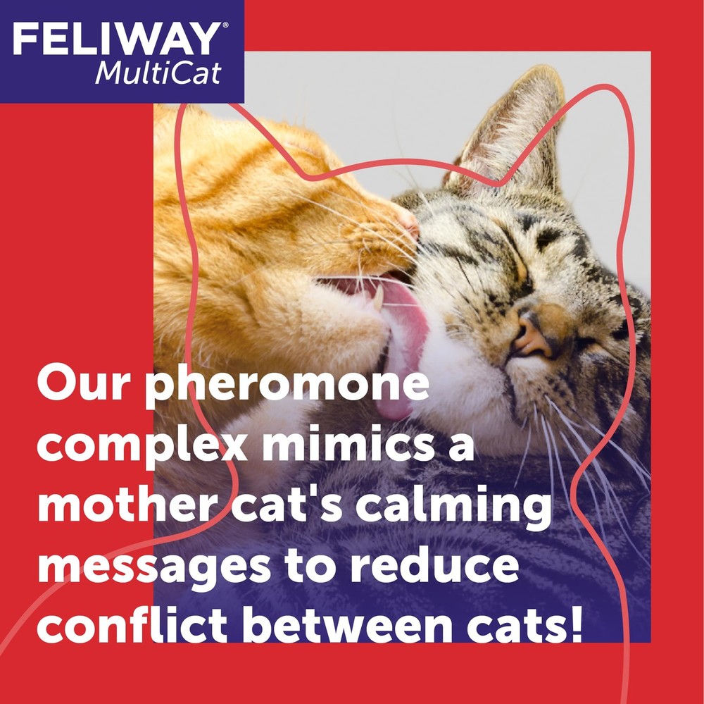FELIWAY MultiCat Calming Pheromone Diffuser Kit - 1 Diffuser & 2 Refills, 60 Day