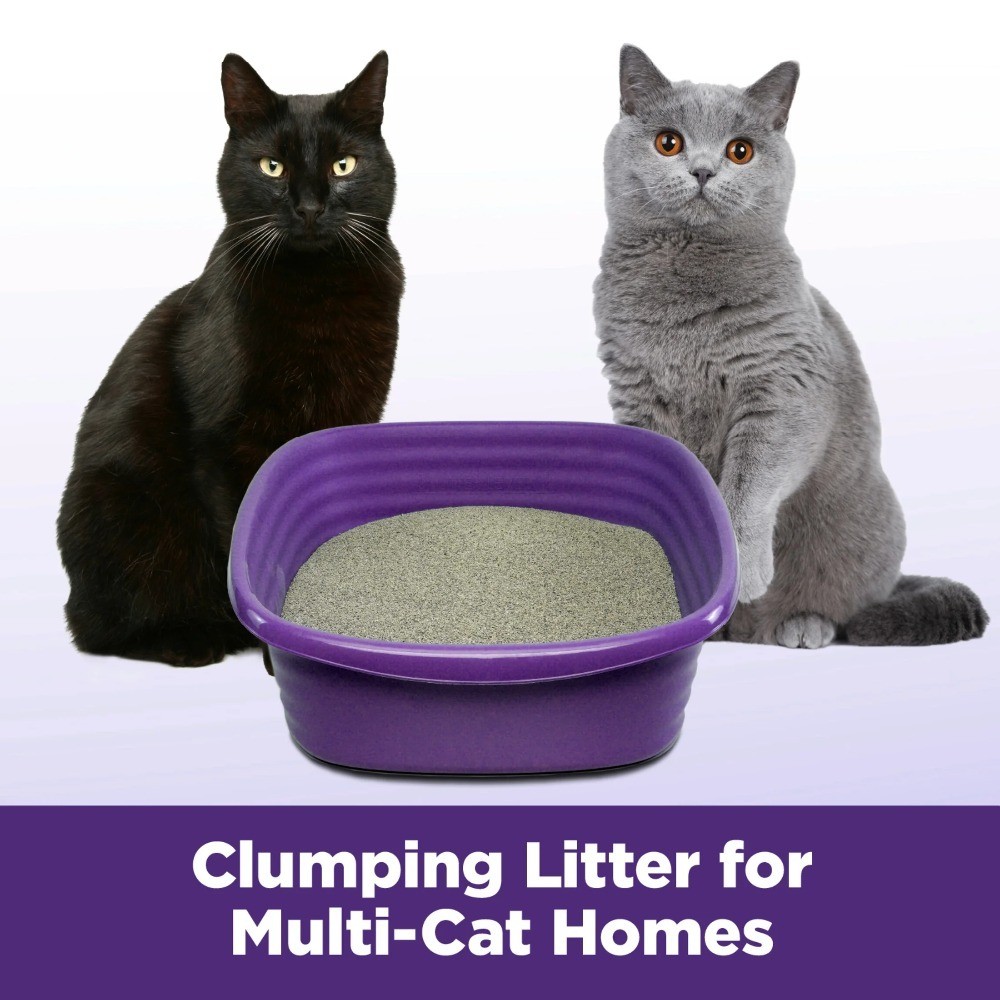 Slide Easy Clean-up Multi-Cat Clumping Litter for Odor Control 14 lbs