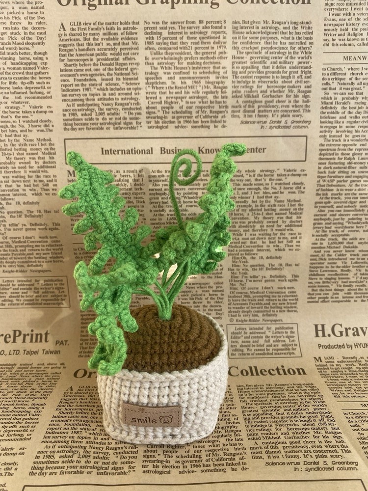 Desk Decor Handmade Money Tree