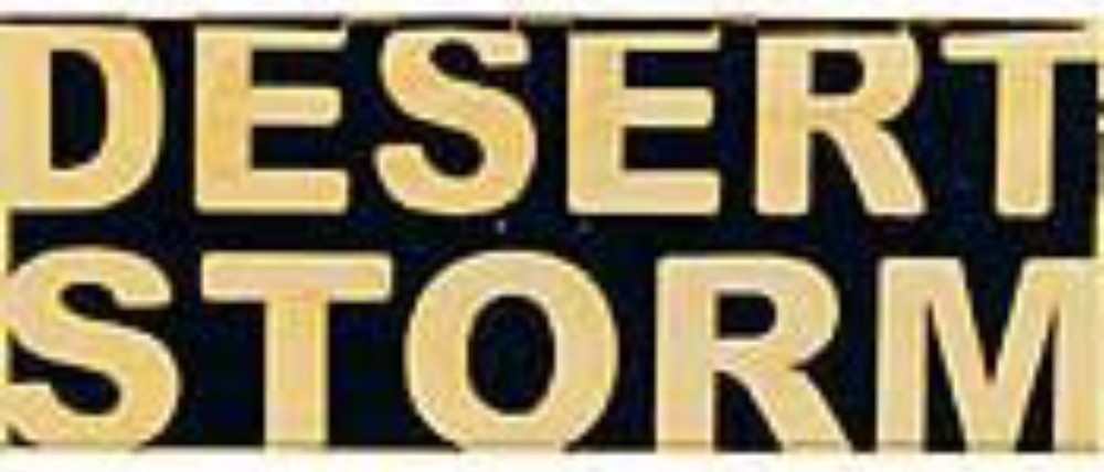 Desert Storm Pin