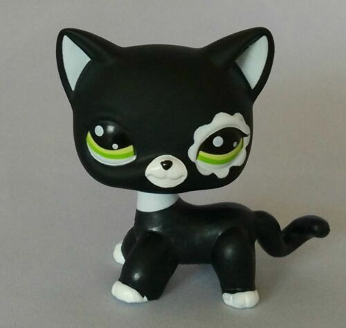 5pcs/lot Littlest Pet Shop toys LPS Random Short Hair Cat Animal Figures New